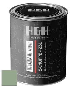 Глубокоматовая краска H&H SCHUPPE цвет NCS S 3020-G20Y 