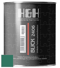 Глубокоматовая краска H&H Blick цвет RAL 6000 