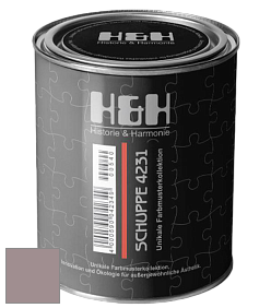 Глубокоматовая краска H&H SCHUPPE цвет NCS S 4010-R10B 