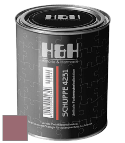 Глубокоматовая краска H&H SCHUPPE цвет NCS S 4030-R10B 