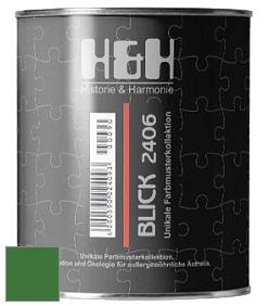Глубокоматовая краска H&H Blick цвет RAL 6010 