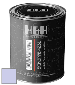 Глубокоматовая краска H&H SCHUPPE цвет NCS S 0525-R60B 