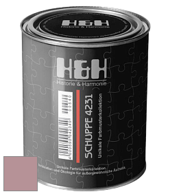 Глубокоматовая краска H&H SCHUPPE цвет NCS S 3020-R10B 