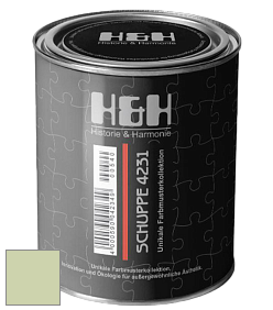 Глубокоматовая краска H&H SCHUPPE цвет NCS S 1020-G40Y 