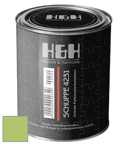 Глубокоматовая краска H&H SCHUPPE цвет NCS S 1050-G40Y 