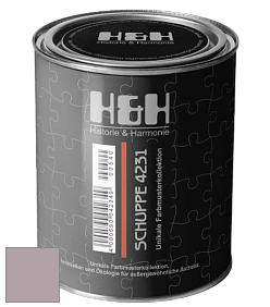 Глубокоматовая краска H&H SCHUPPE цвет NCS S 3010-R20B 