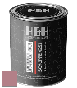 Глубокоматовая краска H&H SCHUPPE цвет NCS S 3030-R10B 