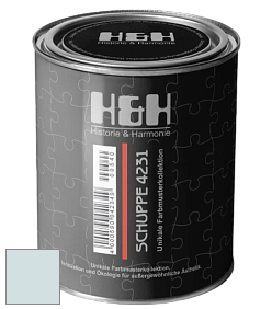 Глубокоматовая краска H&H SCHUPPE цвет NCS S 0907-B20G 