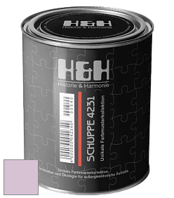 Глубокоматовая краска H&H SCHUPPE цвет NCS S 1020-R40B 
