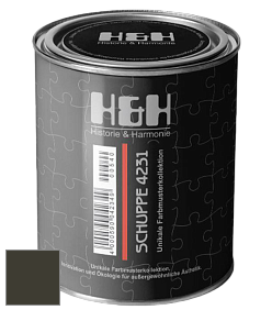 Глубокоматовая краска H&H SCHUPPE цвет RAL 6022 
