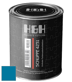 Глубокоматовая краска H&H SCHUPPE цвет NCS S 3060-B 