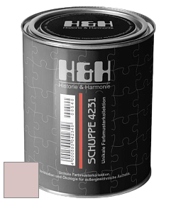Глубокоматовая краска H&H SCHUPPE цвет NCS S 1510-R 