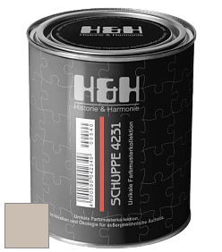 Глубокоматовая краска H&H SCHUPPE цвет DRF 9036 