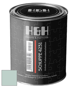 Глубокоматовая краска H&H SCHUPPE цвет NCS S 1510-B80G 