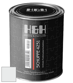Глубокоматовая краска H&H SCHUPPE цвет NCS S 0601-B 
