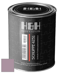 Глубокоматовая краска H&H SCHUPPE цвет NCS S 3020-R30B 