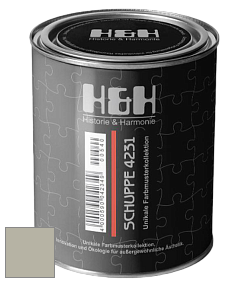Глубокоматовая краска H&H SCHUPPE цвет NCS S 3005-G80Y 
