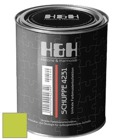 Глубокоматовая краска H&H SCHUPPE цвет NCS S 0565-G50Y 