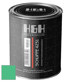 Глубокоматовая краска H&H SCHUPPE цвет NCS S 1060-G 
