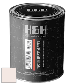 Глубокоматовая краска H&H SCHUPPE цвет NCS S 0505-Y80R 
