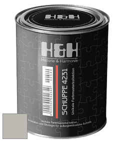 Глубокоматовая краска H&H SCHUPPE цвет DRF 9058 