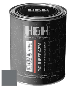 Глубокоматовая краска H&H SCHUPPE цвет DRF 9005 