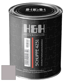 Глубокоматовая краска H&H SCHUPPE цвет NCS S 3005-R20B 