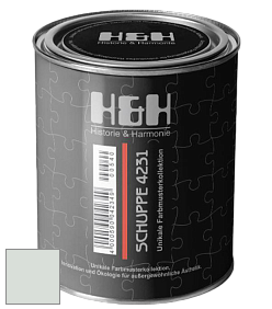 Глубокоматовая краска H&H SCHUPPE цвет NCS S 1005-G 