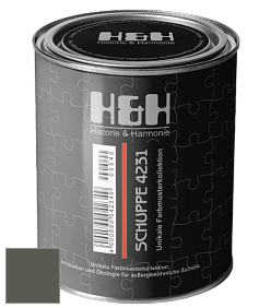Глубокоматовая краска H&H SCHUPPE цвет DRF 9049 