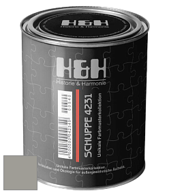 Глубокоматовая краска H&H SCHUPPE цвет DRF 9060 
