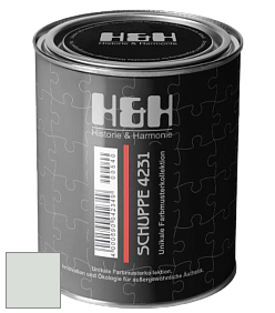 Глубокоматовая краска H&H SCHUPPE цвет NCS S 1005-G10Y 