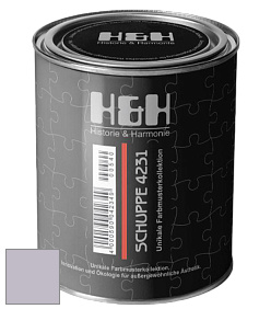 Глубокоматовая краска H&H SCHUPPE цвет NCS S 2010-R50B 
