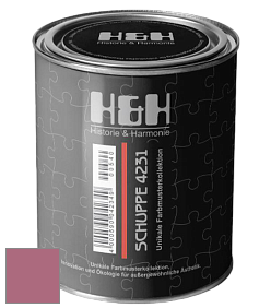 Глубокоматовая краска H&H SCHUPPE цвет NCS S 3040-R20B 