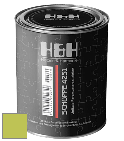 Глубокоматовая краска H&H SCHUPPE цвет NCS S 1060-G50Y 