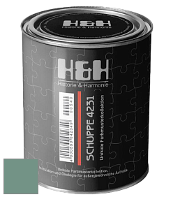 Глубокоматовая краска H&H SCHUPPE цвет NCS S 4020-B90G 