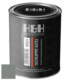 Глубокоматовая краска H&H SCHUPPE цвет NCS S 5005-G 