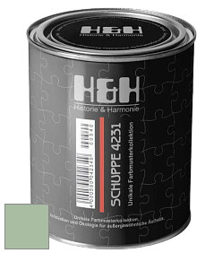 Глубокоматовая краска H&H SCHUPPE цвет NCS S 2020-G20Y 