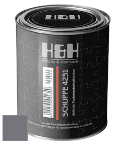 Глубокоматовая краска H&H SCHUPPE цвет NCS S 6005-R50B 