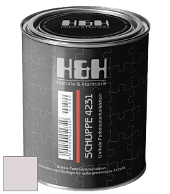 Глубокоматовая краска H&H SCHUPPE цвет NCS S 1005-R20B 