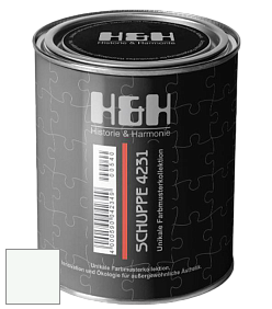 Глубокоматовая краска H&H SCHUPPE цвет RAL 9003 
