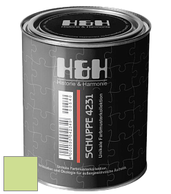 Глубокоматовая краска H&H SCHUPPE цвет NCS S 0540-G40Y 