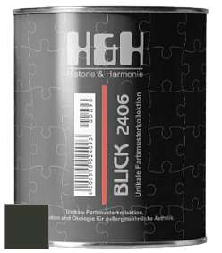 Глубокоматовая краска H&H Blick цвет RAL 6008 