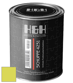 Глубокоматовая краска H&H SCHUPPE цвет NCS S 0560-G60Y 