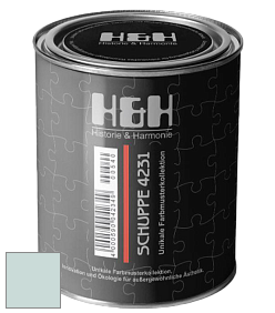 Глубокоматовая краска H&H SCHUPPE цвет NCS S 1010-B70G 