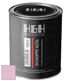 Глубокоматовая краска H&H SCHUPPE цвет DRF 1829 