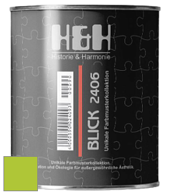 Глубокоматовая краска H&H Blick цвет NCS S 0575-G40Y 