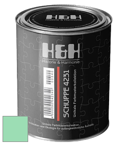Глубокоматовая краска H&H SCHUPPE цвет NCS S 0540-G 