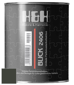 Глубокоматовая краска H&H Blick цвет RAL 6006 