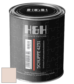Глубокоматовая краска H&H SCHUPPE цвет NCS S 0907-Y70R 