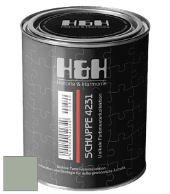 Глубокоматовая краска H&H SCHUPPE цвет NCS S 3010-G20Y 